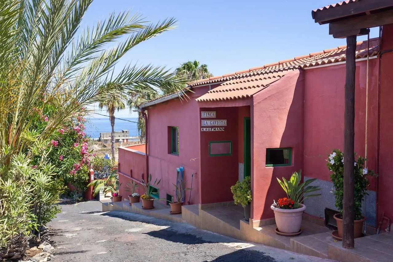 Finca La Gaviota - Las Palmeras Icod De Los Vinos